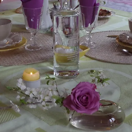 Maison Au Jardin Biscarrosse