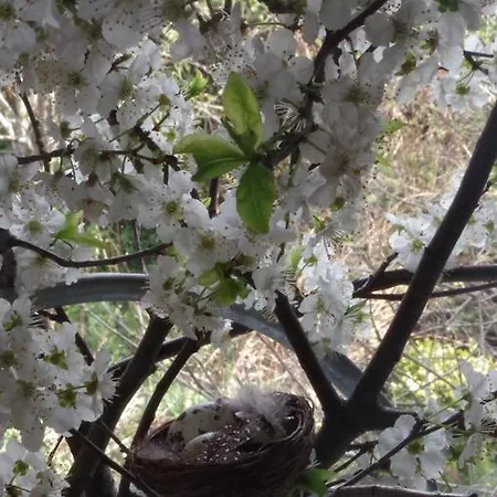 Feriehus Maison Au Jardin