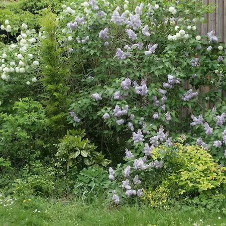 Prázdninový dům Maison Au Jardin