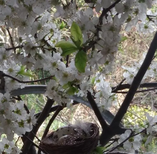 Semesterbostad Maison Au Jardin