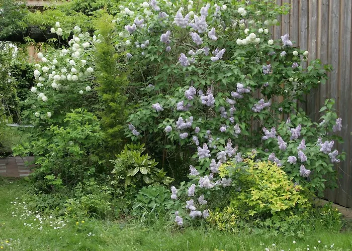 Semesterbostad Maison Au Jardin