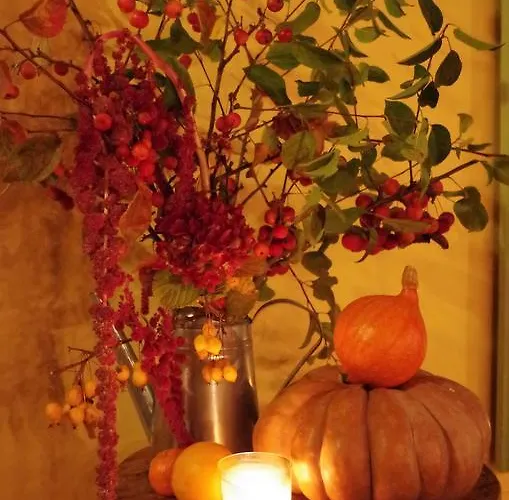 Semesterbostad Maison Au Jardin Biscarrosse