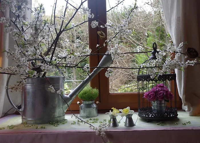 Semesterbostad Maison Au Jardin Biscarrosse