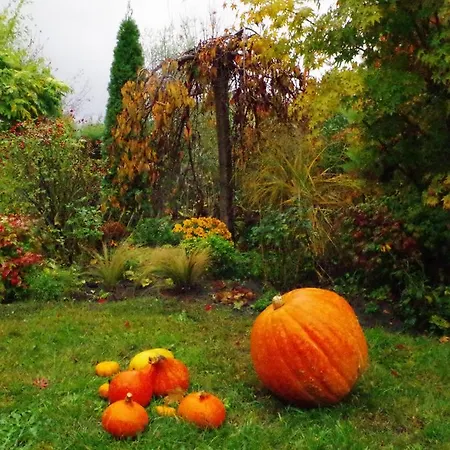 Maison Au Jardin Vakantiehuis *
