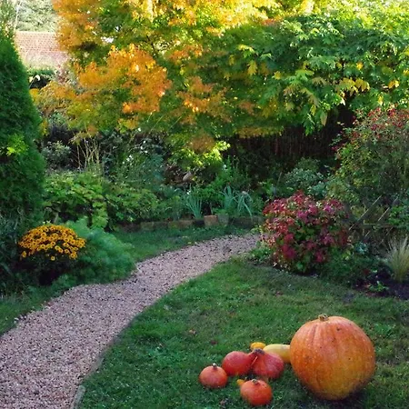 Vakantiehuis Maison Au Jardin *