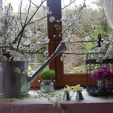 度假居 Maison Au Jardin 比斯卡罗斯